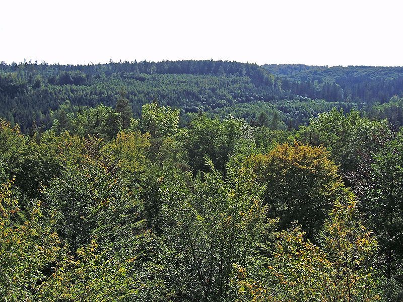 File:SchoenbuchViewFromFalkenkopf.jpg