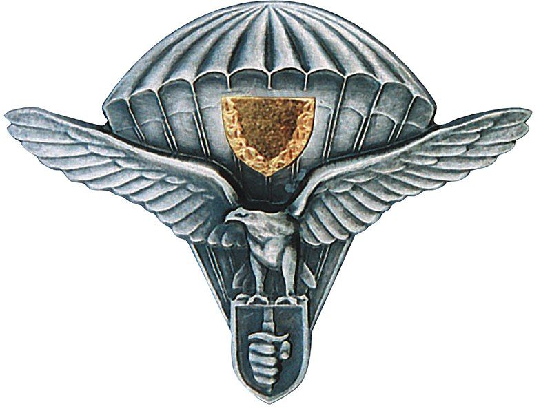 File:Slovakian parachutist badge.jpg