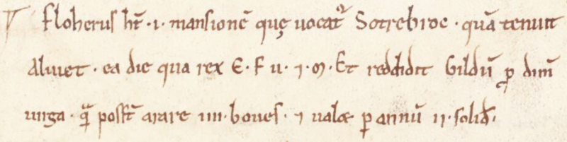 File:Sotrebroc Devon ExonDomesdayBook.png