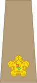 File:South Africa-Army-OF-3-1961.svg