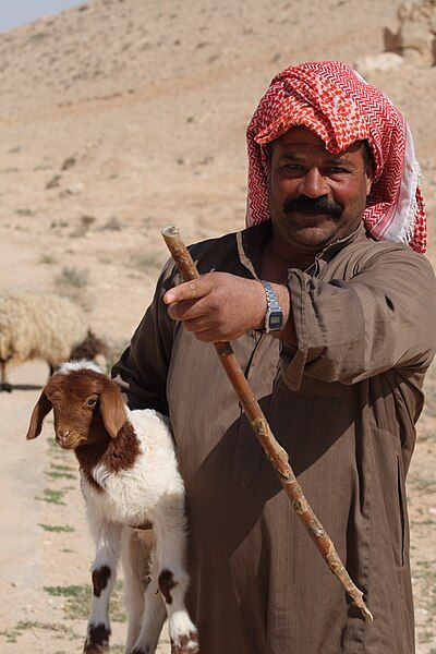 File:Syrian Bedouin Shepherd.jpg