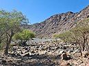 The lower reaches of the Wadi Ejili watercourse