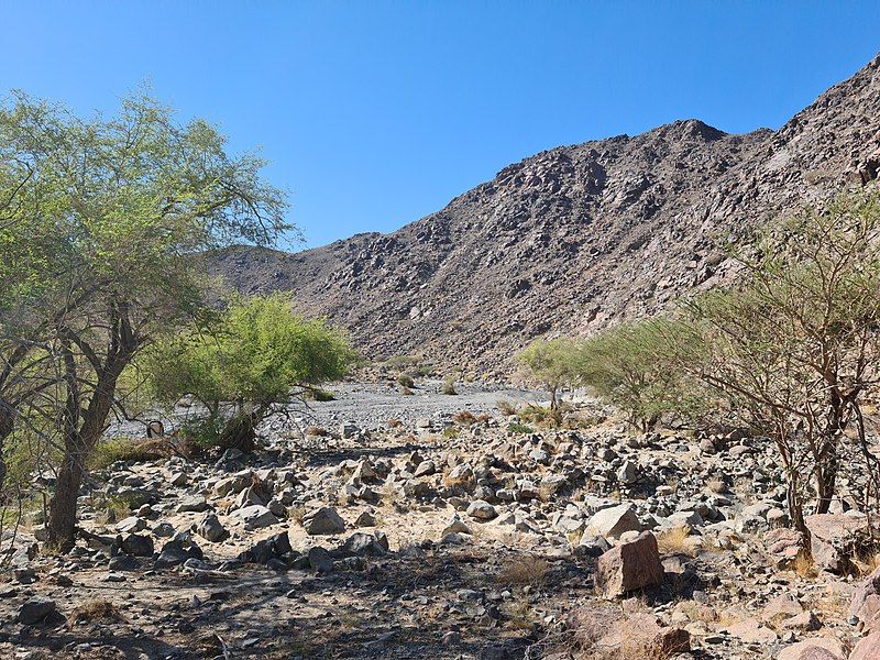 File:The Wadi Ejili.jpg