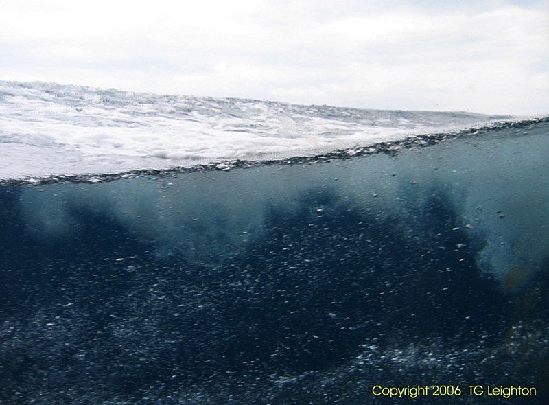 File:Undersea bubble clouds.jpg