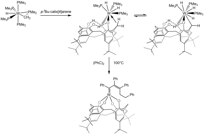 File:W(PMe3)4(η2-CH2PMe2)H with Calixarene.png