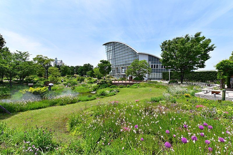 File:WILDFLOWER GARDEN BLUEBONNET.jpg