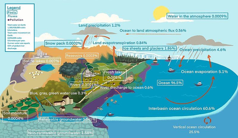 File:Water Cycle Diagram.jpeg