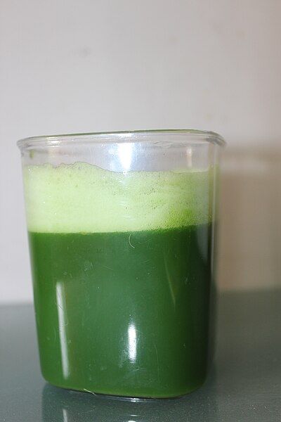 File:WheatGrassJuice 02.JPG