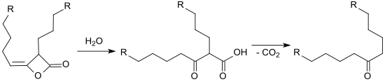 Hydrolysis of alkyl ketene dimer to the beta-ketoacid followed by decarboxylation to the ketone