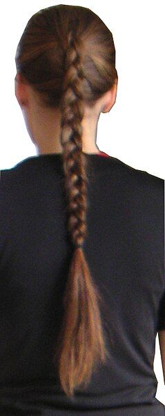 File:Braid01.jpg