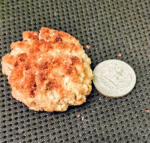 File:Coconut macaroon.jpg