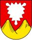 Coat of arms of Rodenberg