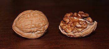 Persian Walnut