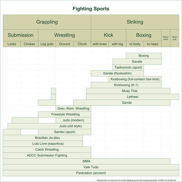 File:Fighting sports.png