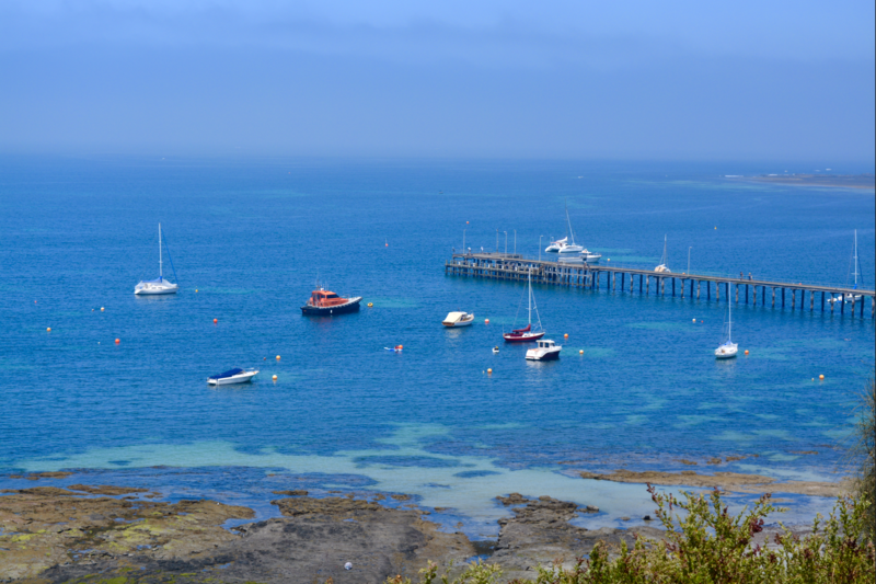 File:Flinders Boats.png