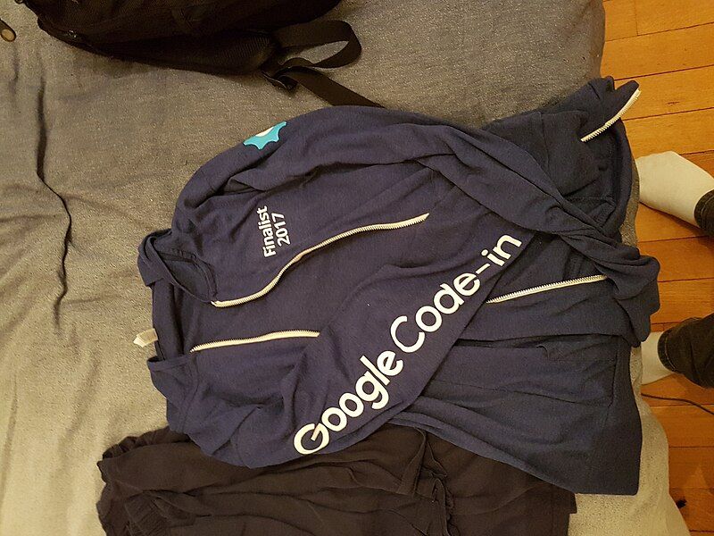 File:Gci-hoodie.jpg