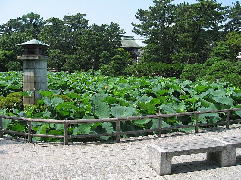 File:Hakusan Park3.JPG