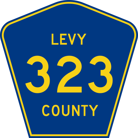 File:Levy County 323.svg