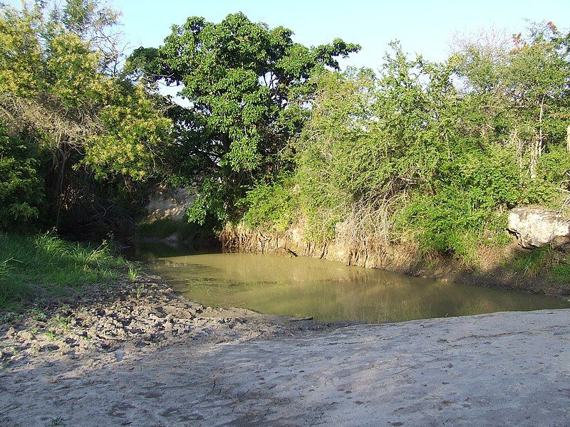 File:Mkomazi National Park-3.jpg