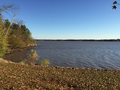 The John H. Kerr Reservoir, better known as Buggs Island Lake, at Occoneechee State Park in Virginia.