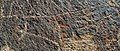 Sky Rock Petroglyphs, Bishop, California.