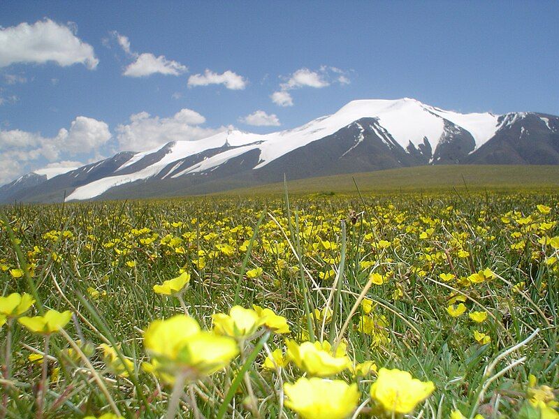 File:Tsambagarav Mountain.JPG