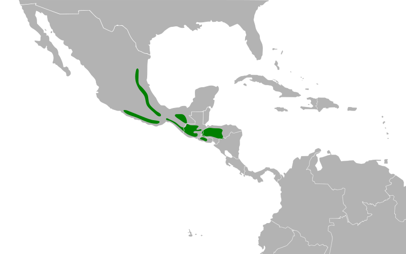 File:Turdus infuscatus map.svg