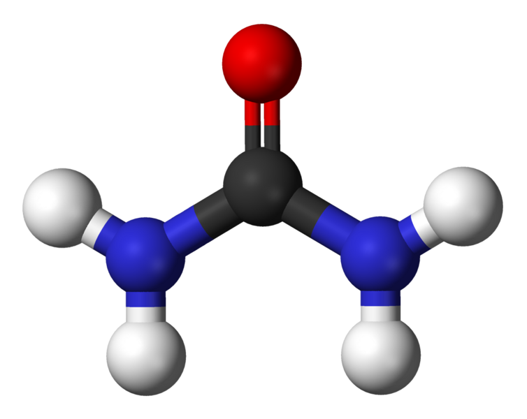 File:Urea-3D-balls.png