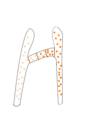 Image 48Fungi within Zygomycota form progametangia with suspensors during mating (from Mating in fungi)