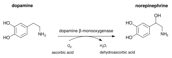 File:Dopamine beta-monooxygenase reaction.svg