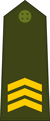 File:Guinea-Bissau-Army-OR-5.svg