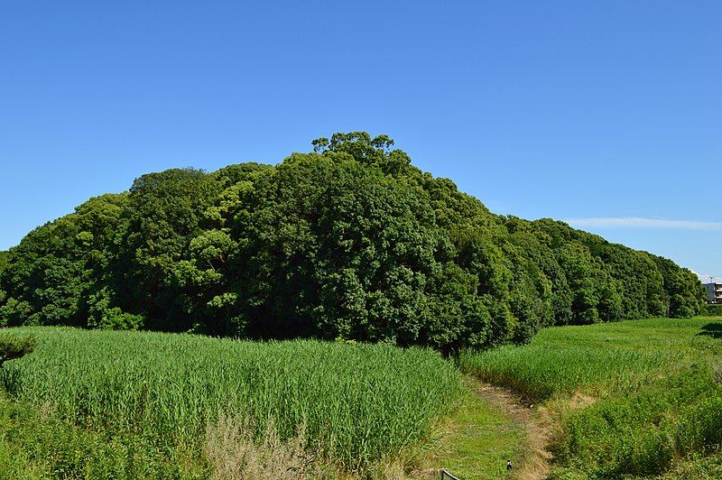 File:Ichinoyama Kofun, funkyu-2.jpg