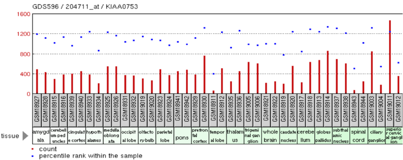 File:KIAA0753 Microarray.png