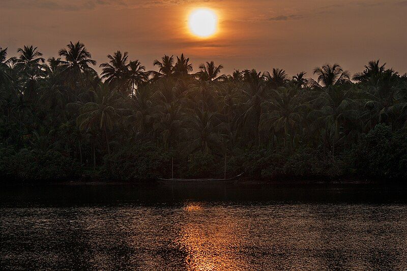 File:Kadalundi river, Malappuram.jpg