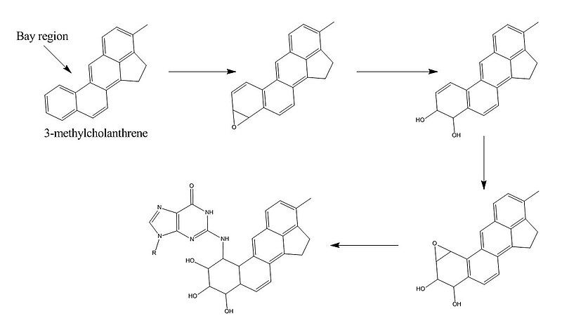 File:Methylchloranthrene mechanism.JPG