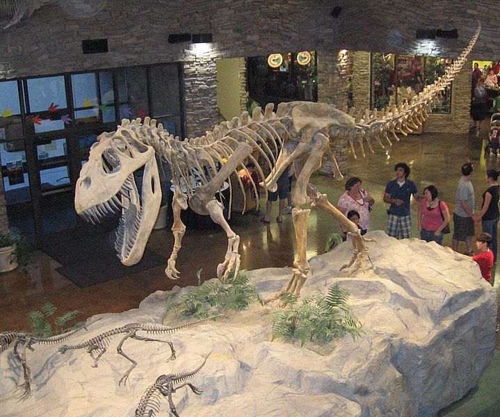 File:Museum AL dinosaur.jpg