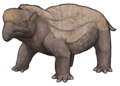 Numidotherium koholense