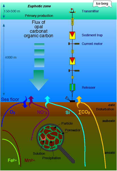 File:Nutrient flux.png