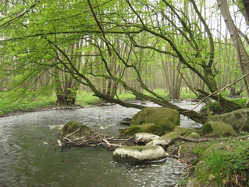 File:Ostpeene-30-04-2008-263.jpg