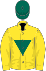 Yellow, dark green inverted triangle, yellow sleeves, dark green cap