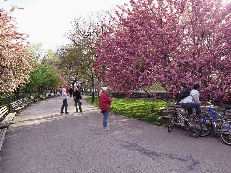 File:Riverside Park 03.jpg