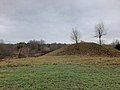 Vosbučiai hillfort