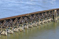 Trestles are useful as approaches to bridges over marshes and shallows