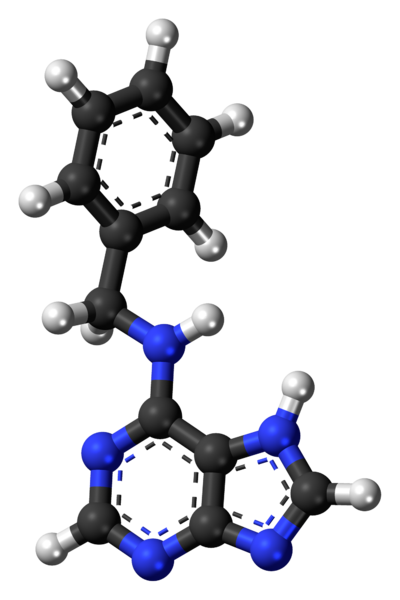 File:6-Benzylaminopurine-3D-balls.png