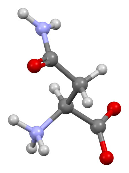 File:Asparagine-from-xtal-3D-bs-17.png