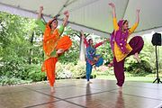 Bhangra dancers at the International Children's Festival