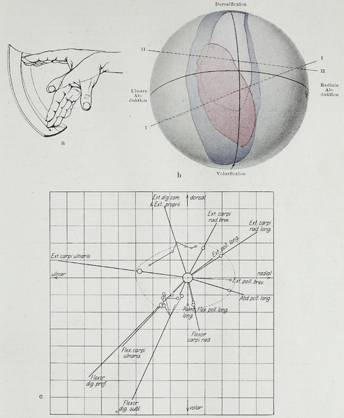 File:Braus 1921 200.png