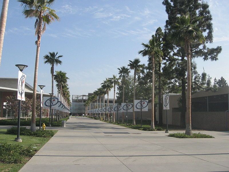 File:Calstate-trees.jpg