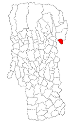 Location in Argeș County