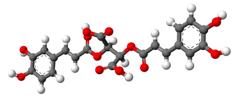 File:Cichoric acid-3D-balls.png